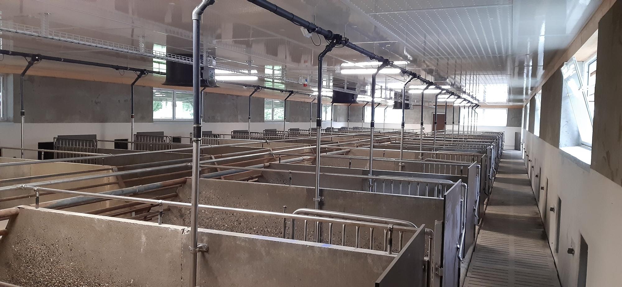 Neu- und Umbau Maststall QM - Kleindietwil