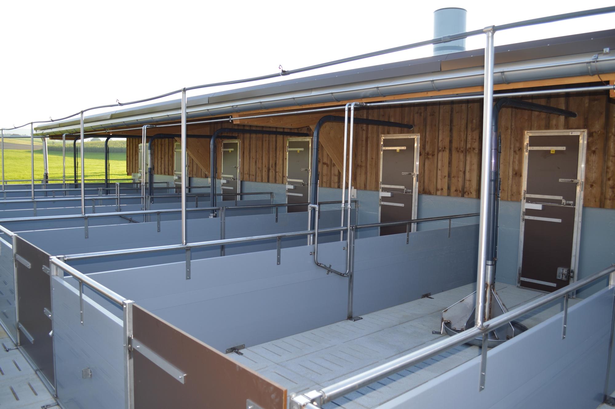 Neubau Label-Maststall - Gossau 