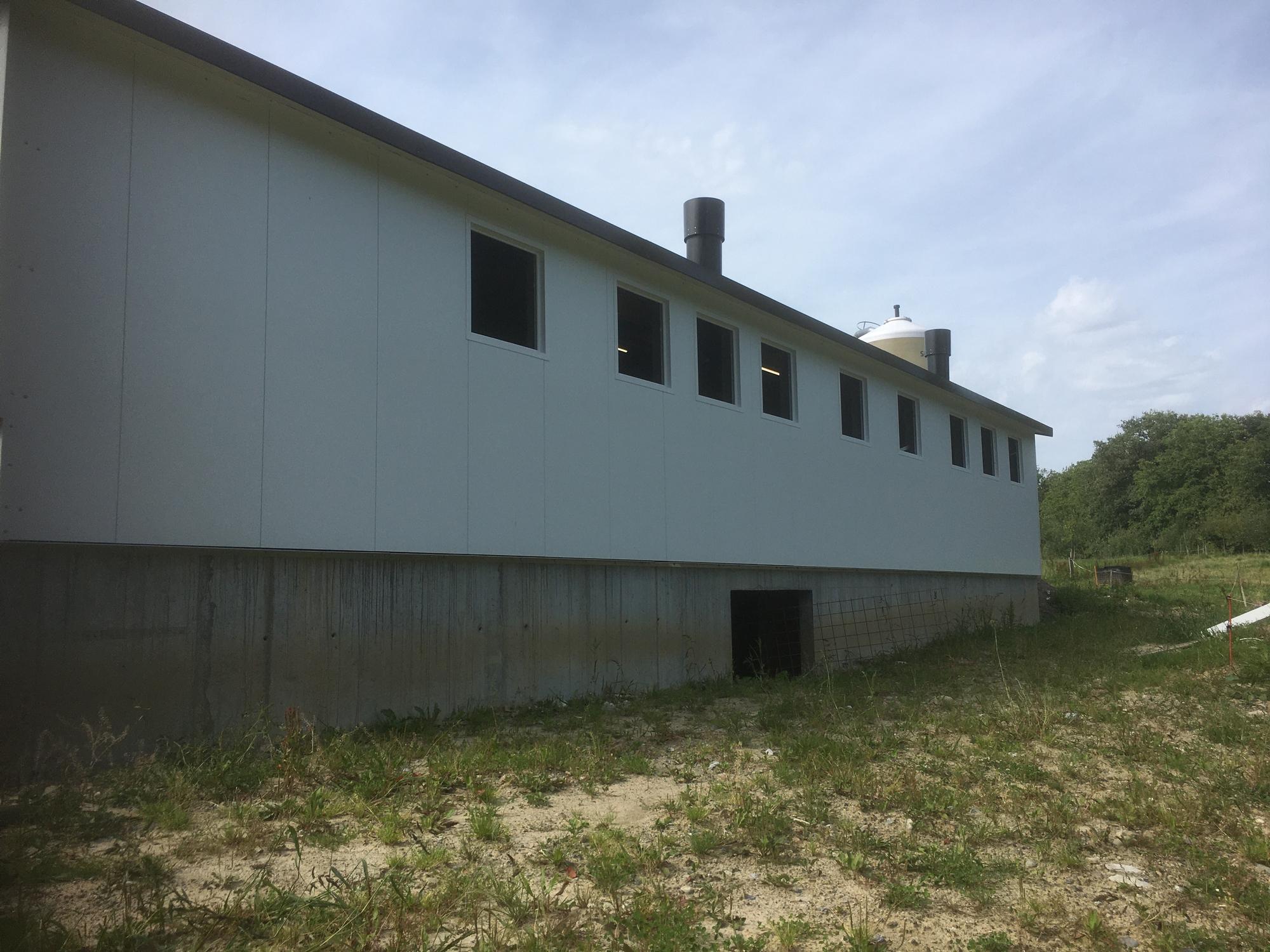 Neubau Label-Ferkelaufzuchtstall - Gunzwil