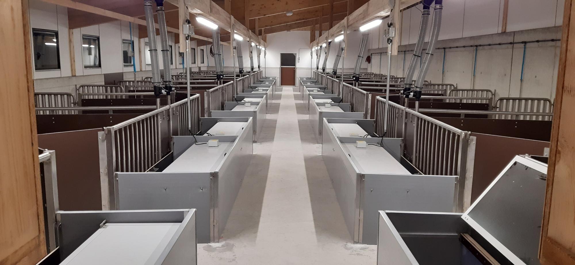 Neubau Ferkelaufzucht- und Abferkelstall IPS - Walterswil